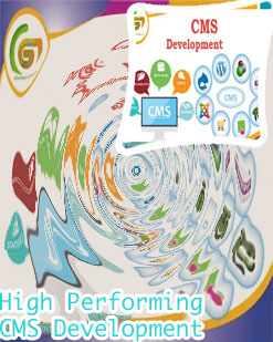 Cms development companies