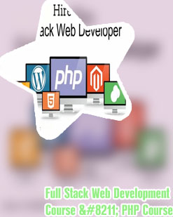 Full stack php web developer