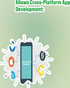 Html5 cross platform app development