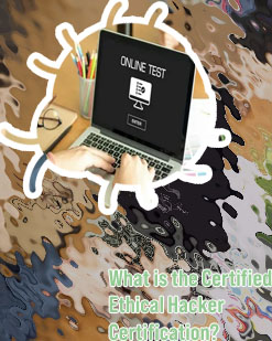 Is c certification worth it