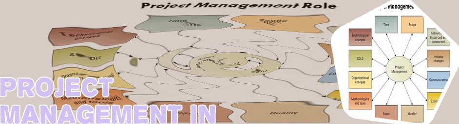 Project management in it sector