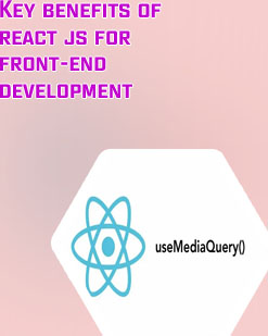 React web development