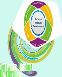 Software product development company